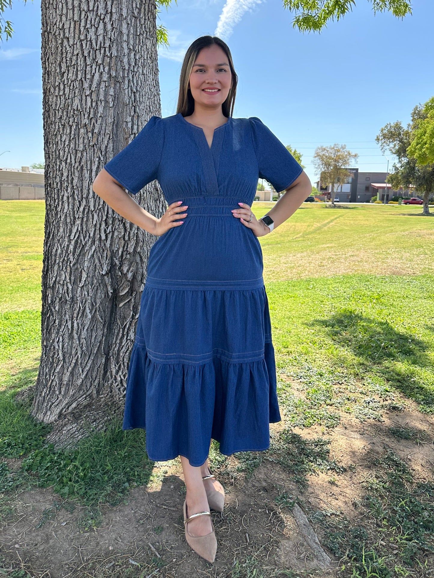 Nidia Denim Midi Dress