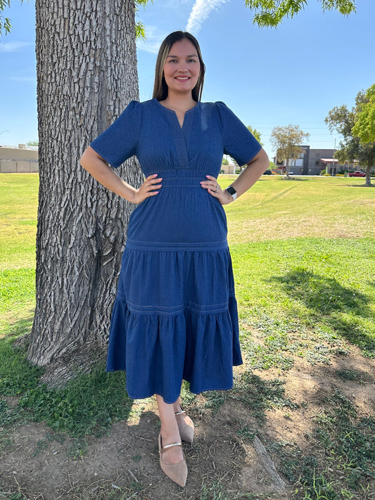 Nidia Denim Midi Dress