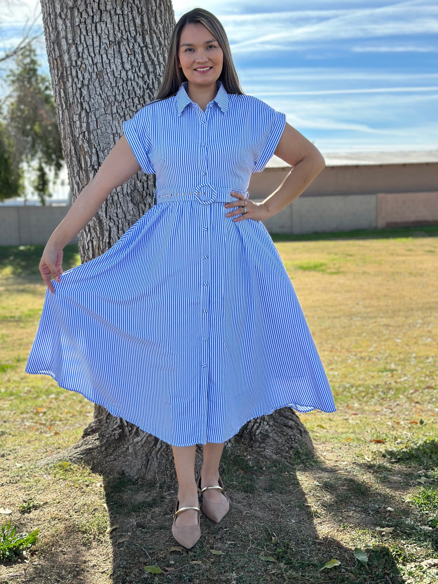 Jessica Striped Short Sleeve Button Down Dress