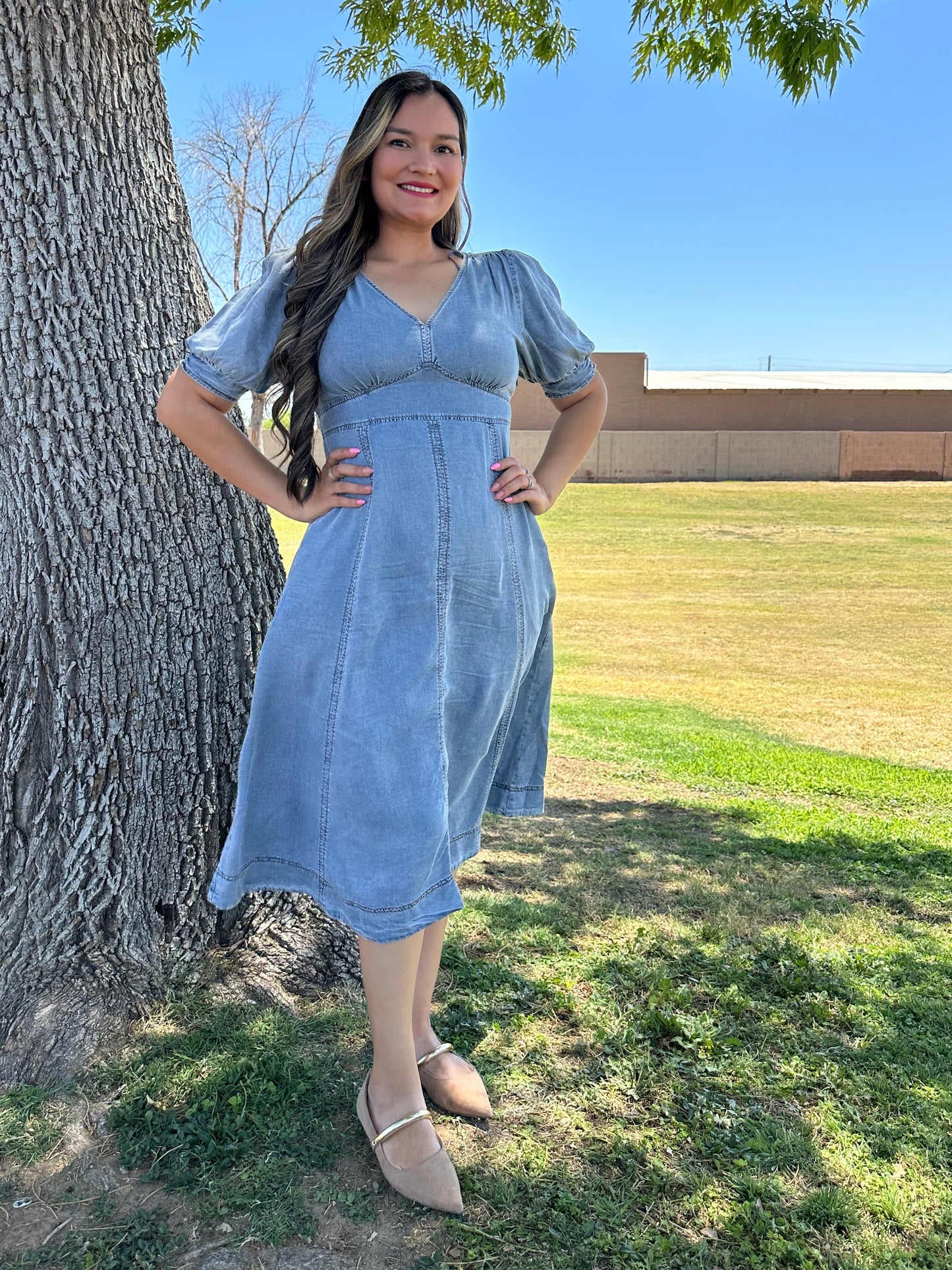 Nelly Midi Denim Dress