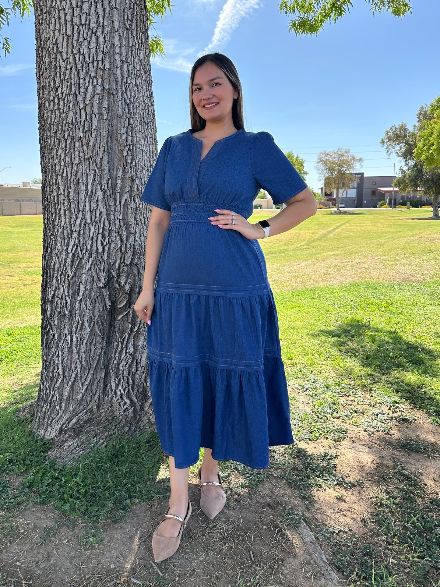Nidia Denim Midi Dress
