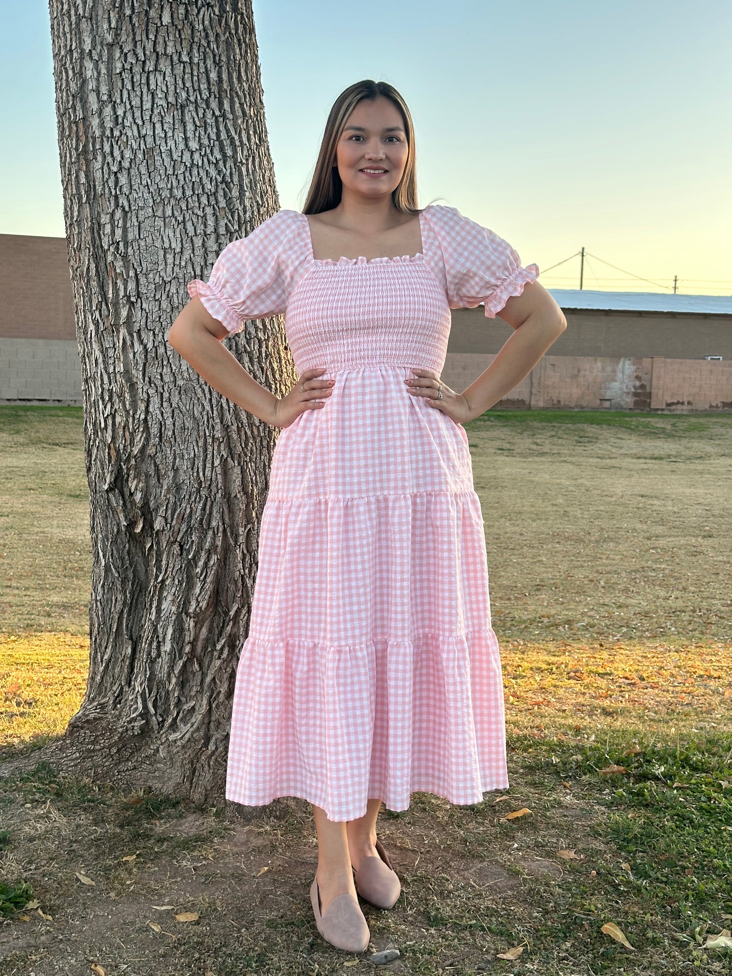 Karina Midi dress