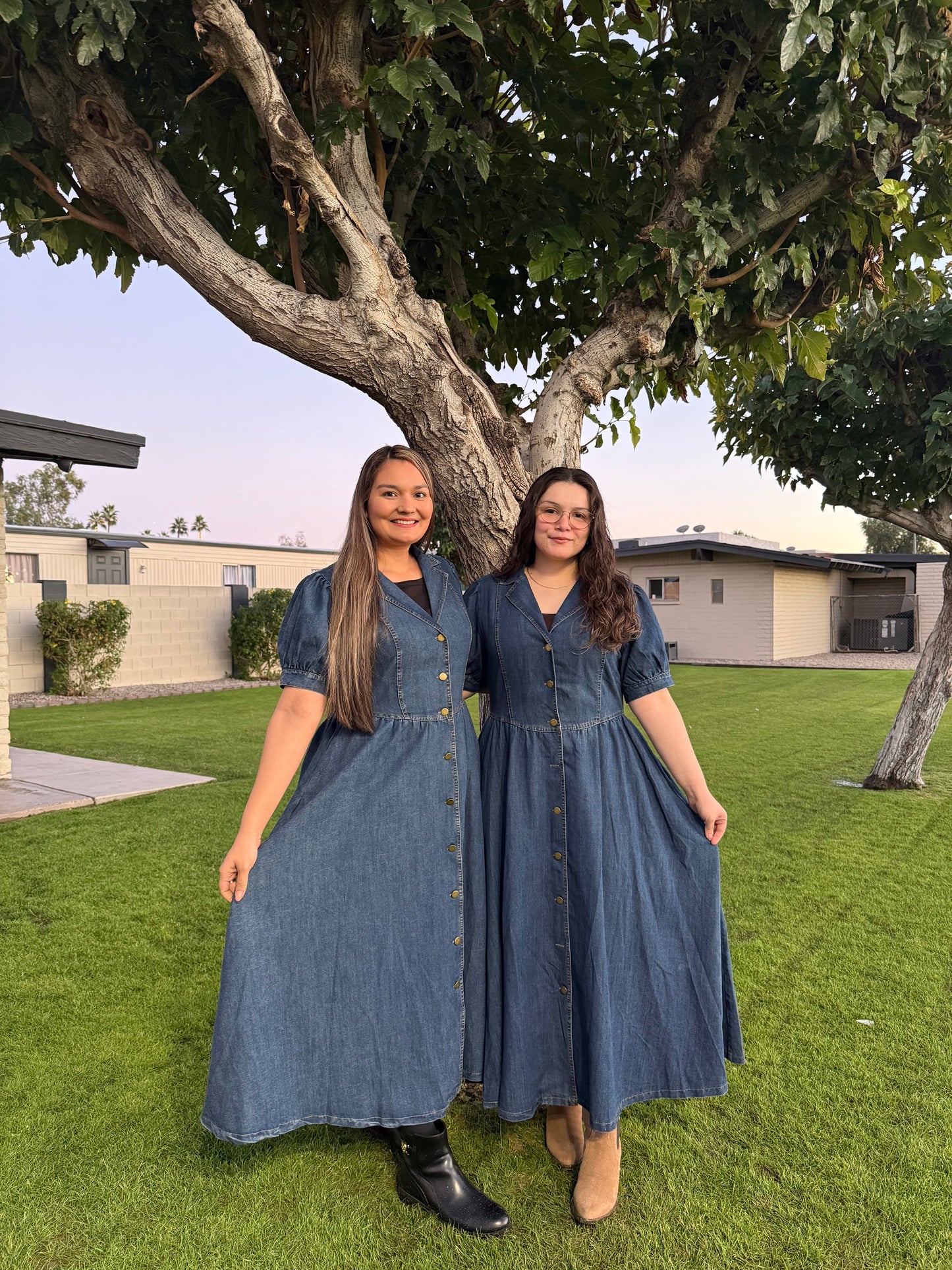 DENIM BUTTON DOWN DRESS