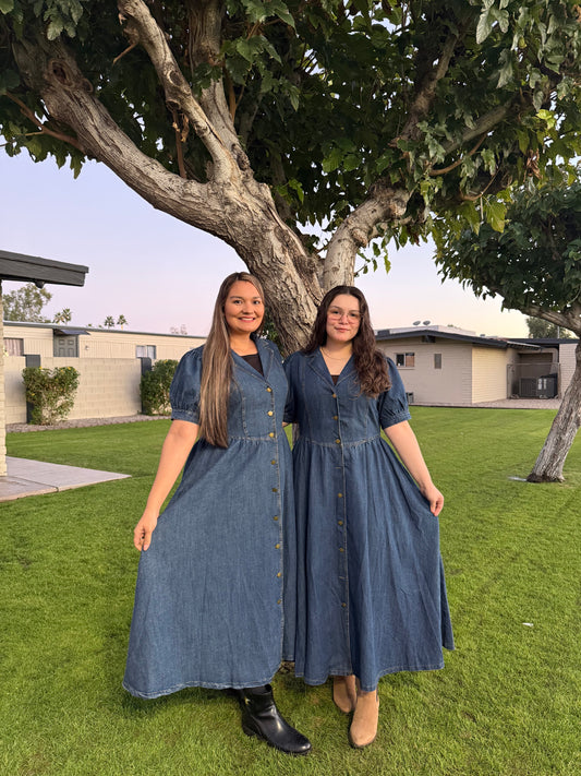 DENIM BUTTON DOWN DRESS