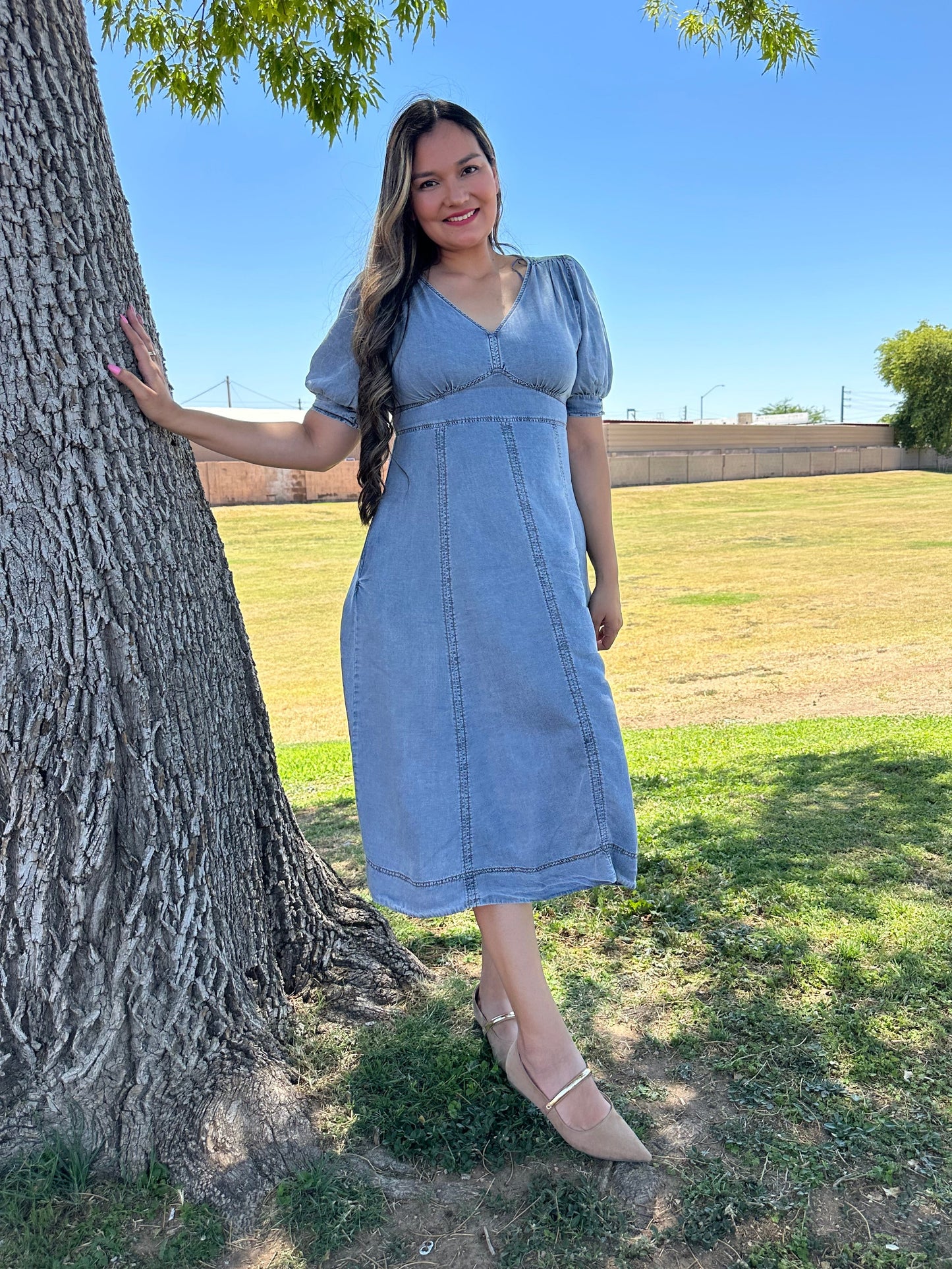 Nelly Midi Denim Dress
