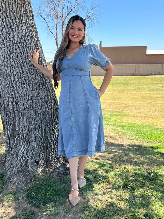 Nelly Midi Denim Dress