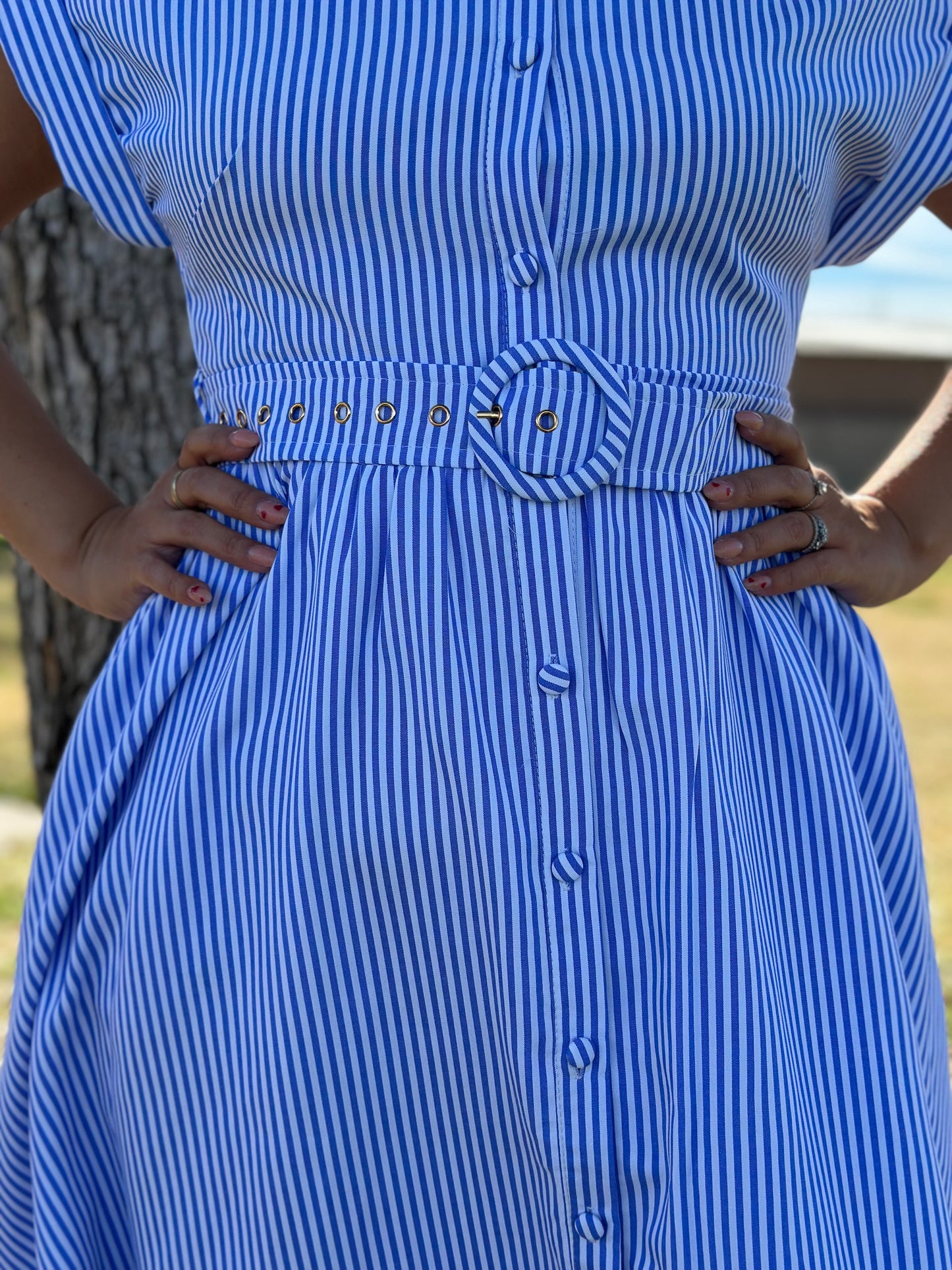 Jessica Striped Short Sleeve Button Down Dress