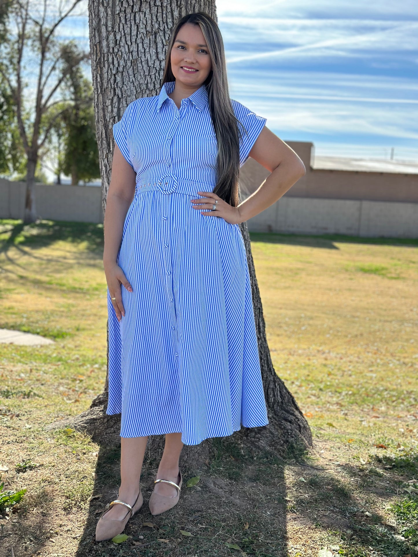 Jessica Striped Short Sleeve Button Down Dress