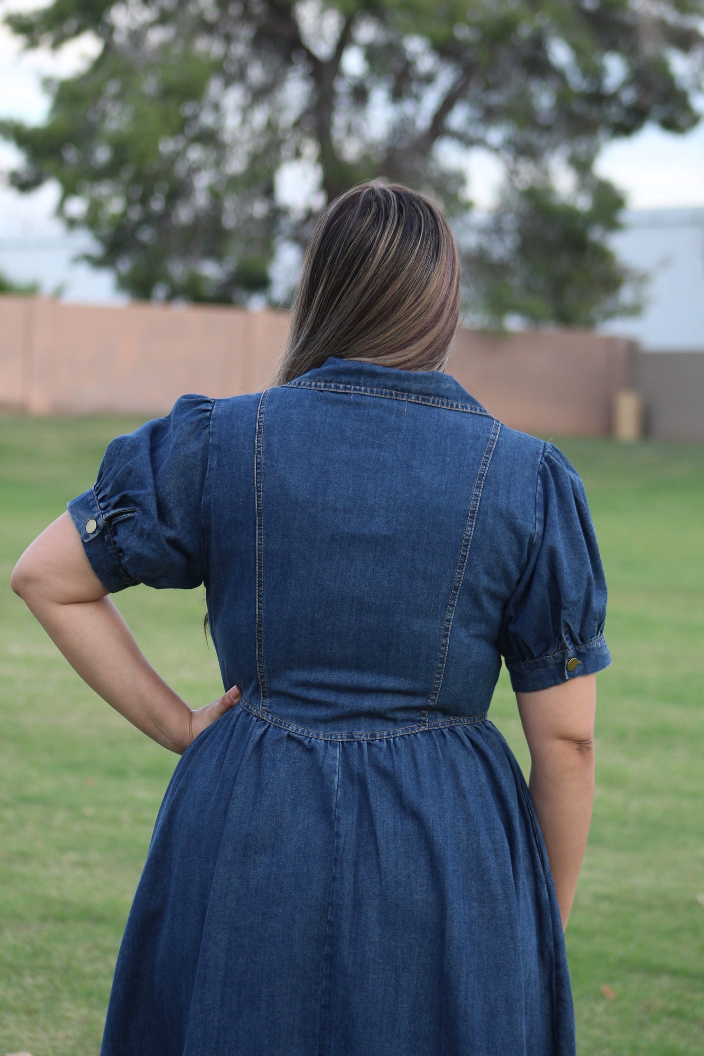 DENIM BUTTON DOWN DRESS